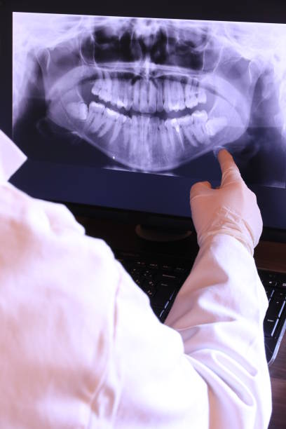 Best Emergency X-Rays and Diagnostics in Woodstock, IL